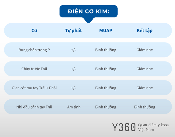 TÊ YẾU TỨ CHI PHẦN NGỌN image