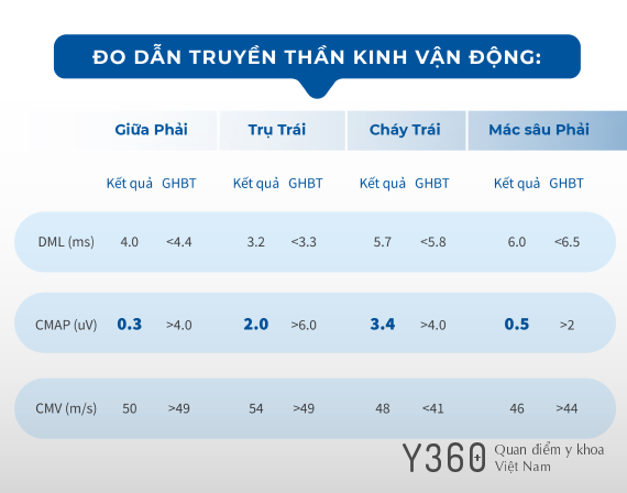 TÊ YẾU TỨ CHI PHẦN NGỌN image